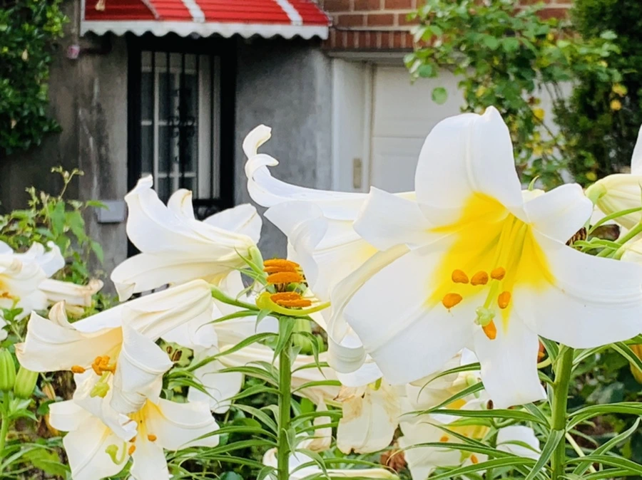 IMG_5948.jpg?type=w966