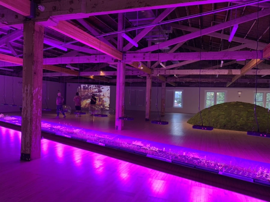 IMG_6814.jpg?type=w966