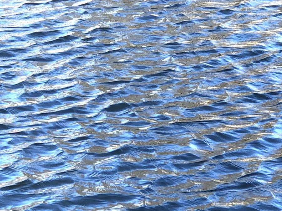 IMG_3884.jpg?type=w966