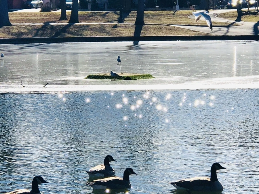 IMG_5354.jpg?type=w966