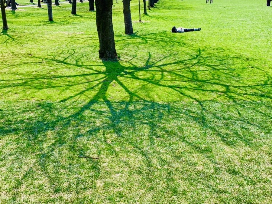 TTlI77QrcsdWoZ3N8CyZlywdtSI