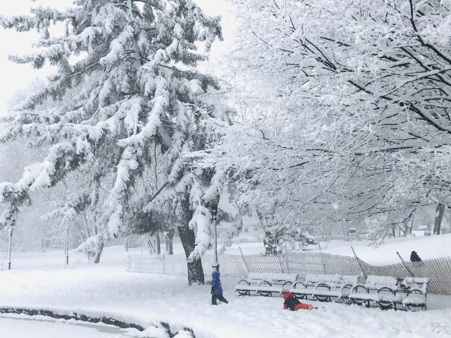 IMG_1077.jpg?type=w966