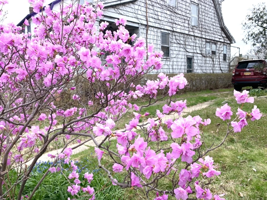 IMG_6741.jpg?type=w966