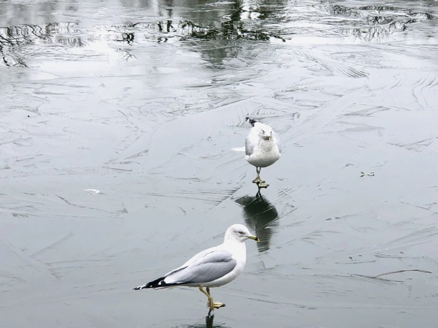 IMG_8947.jpg?type=w966