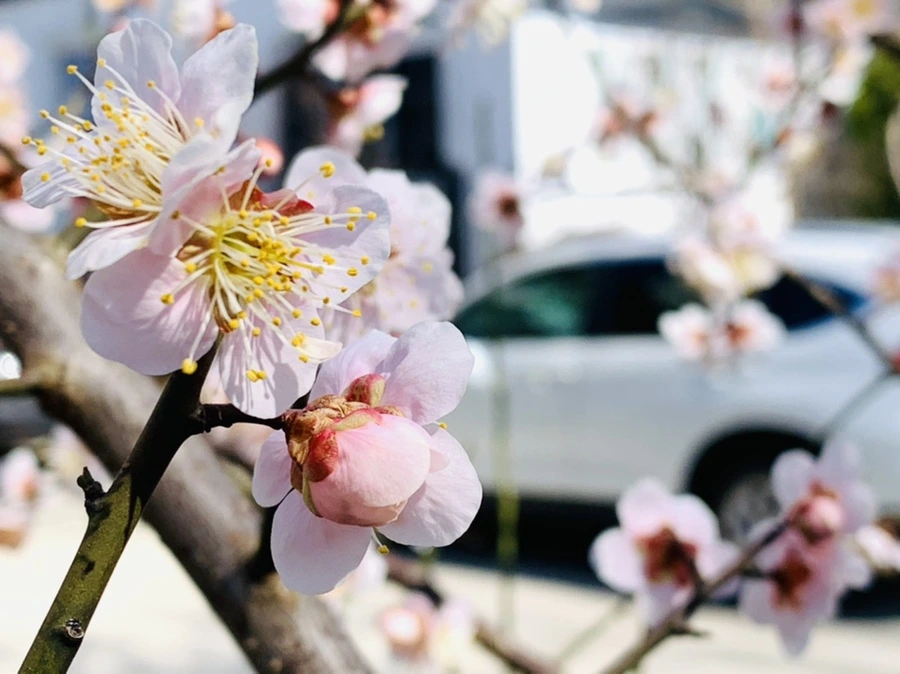 IMG_0983.jpg?type=w966