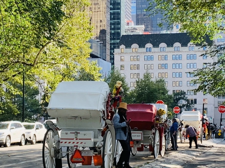 IMG_9722.jpg?type=w966