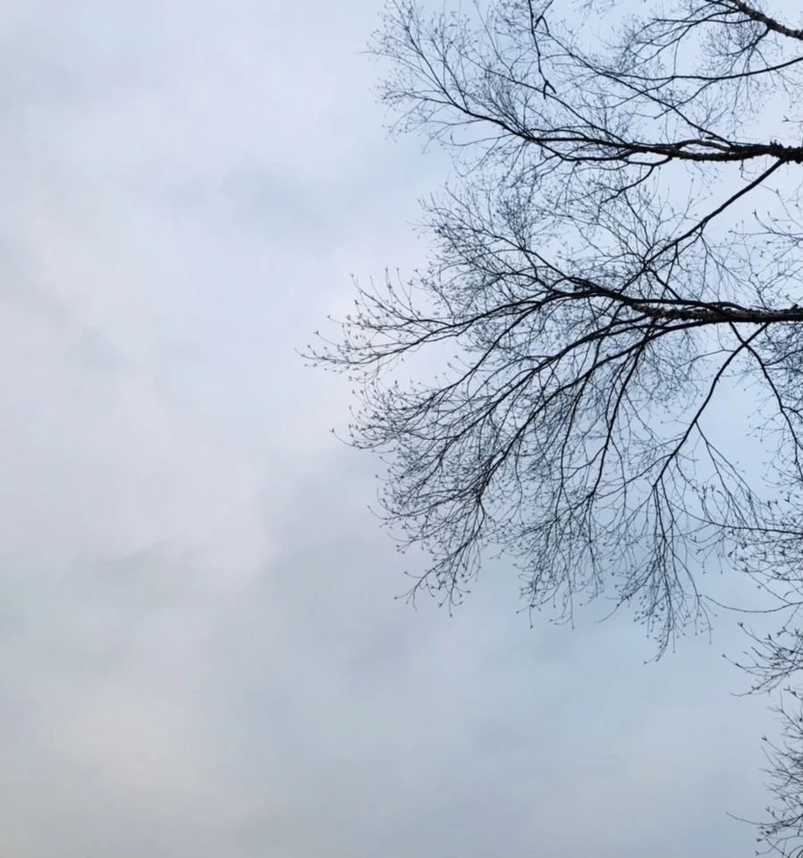 IMG_2349.jpg?type=w966