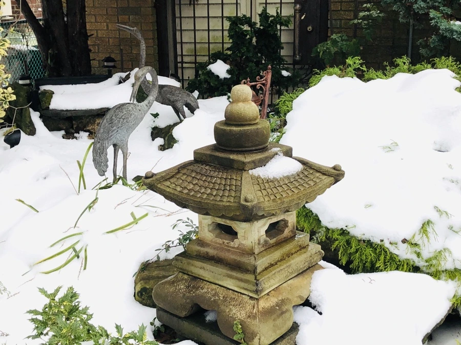 IMG_7579.jpg?type=w966