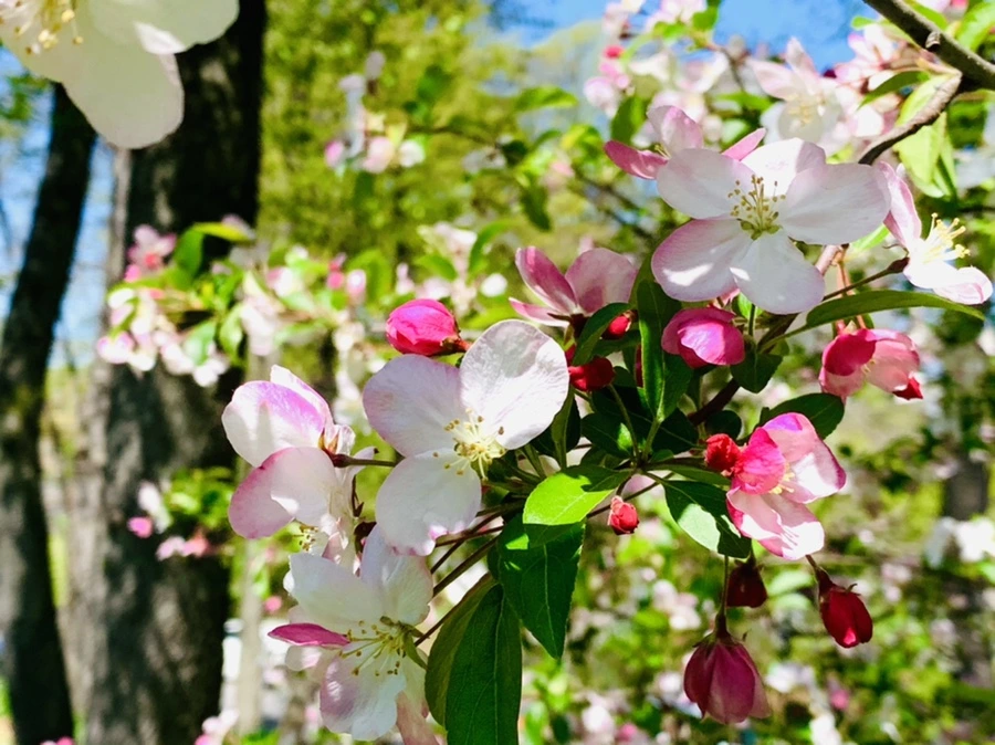 IMG_5717.jpg?type=w966