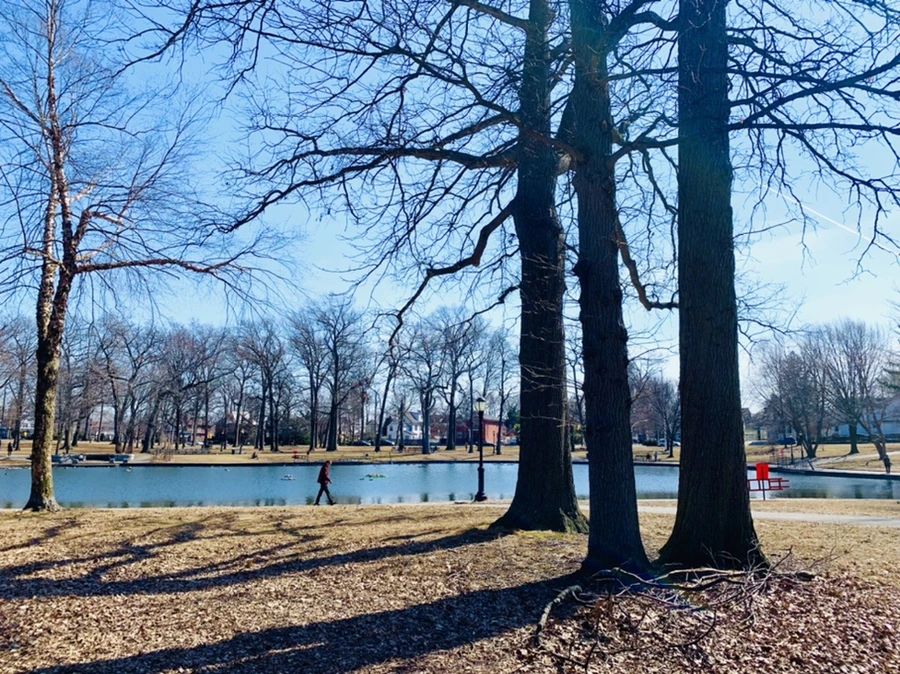 IMG_9592.jpg?type=w966