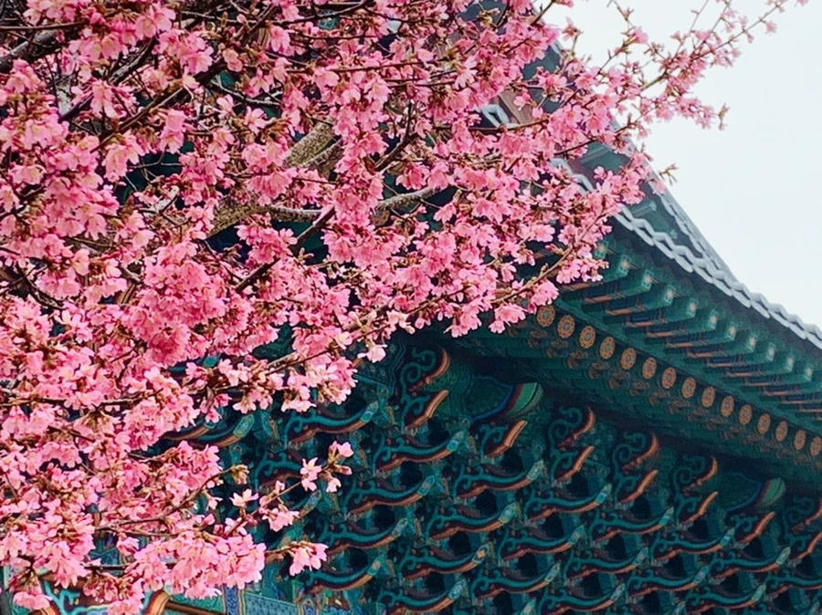 IMG_5259.jpg?type=w966