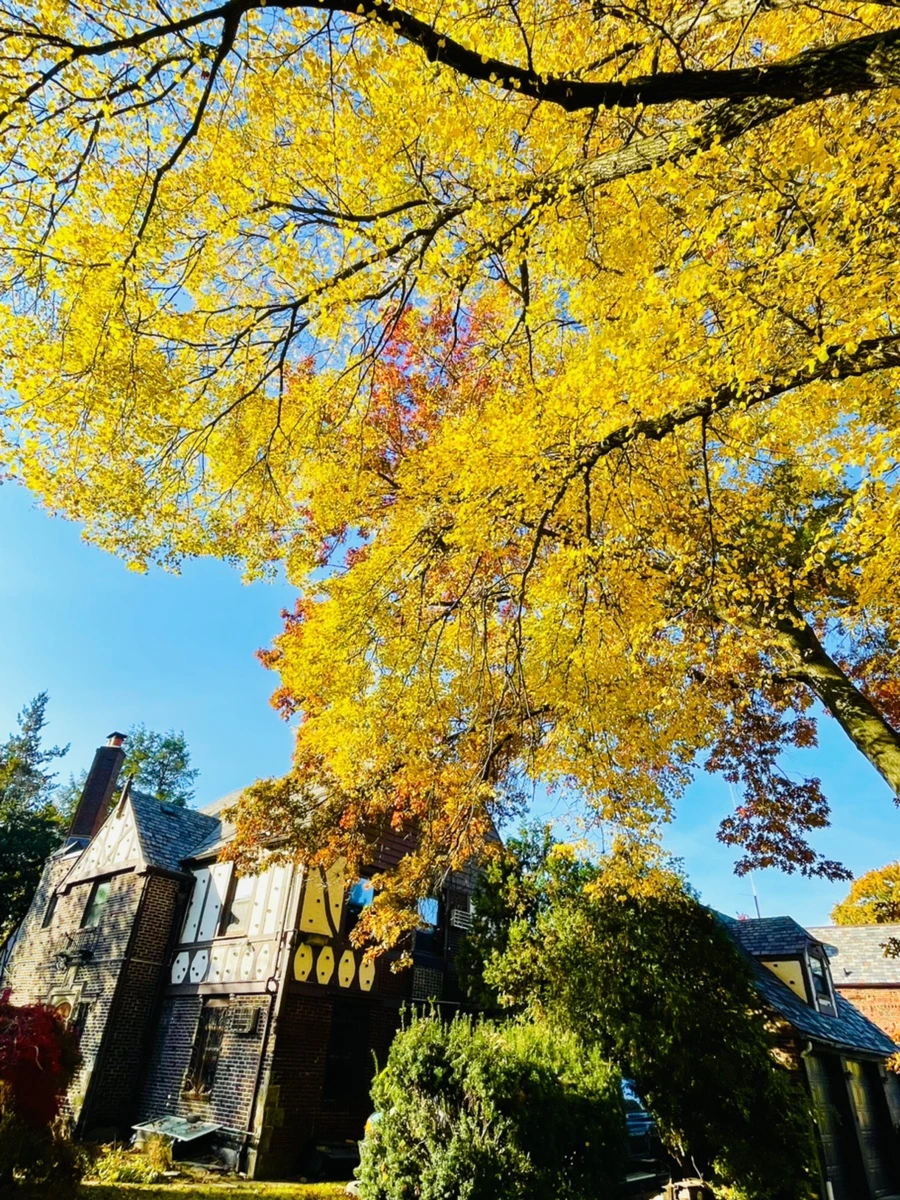 IMG_2216.jpg?type=w966