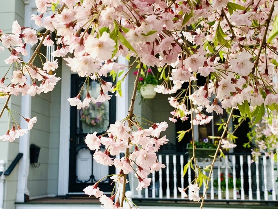 IMG_3705.jpg?type=w966