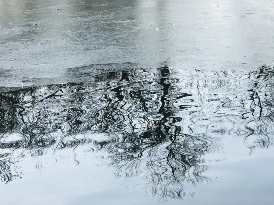 IMG_2658.jpg?type=w966