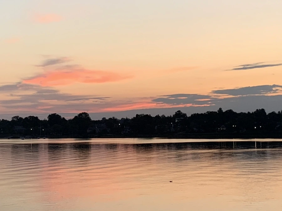 IMG_1155.jpg?type=w966