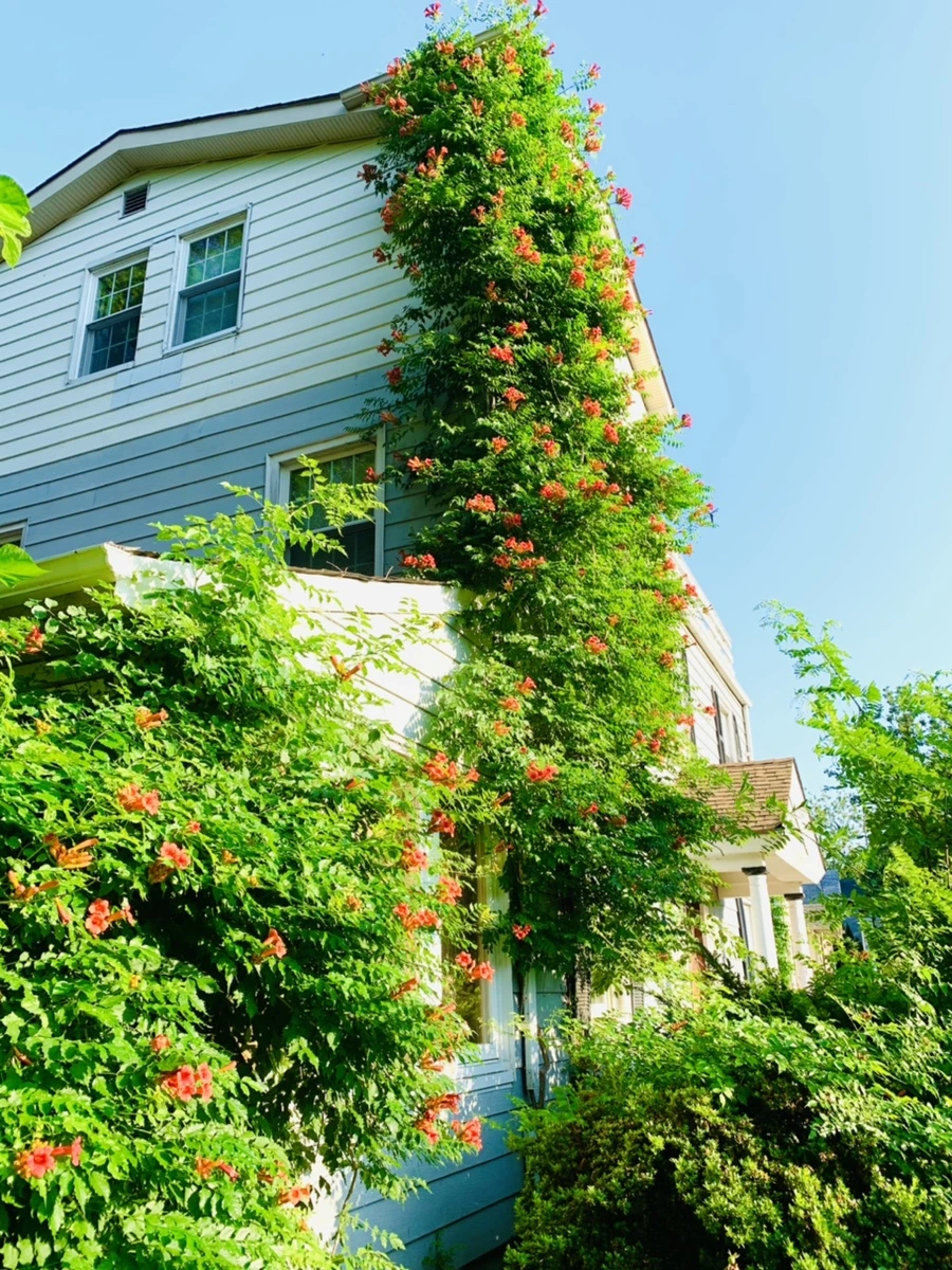 IMG_8243.jpg?type=w966