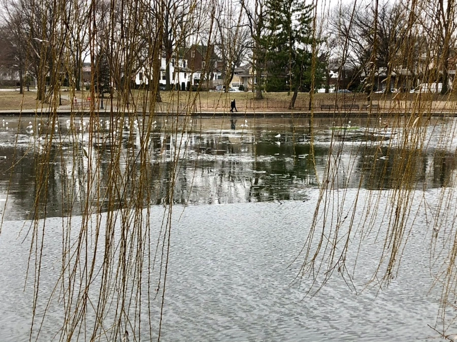 IMG_3202.jpg?type=w966