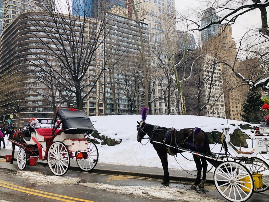 IMG_0375.jpg?type=w966