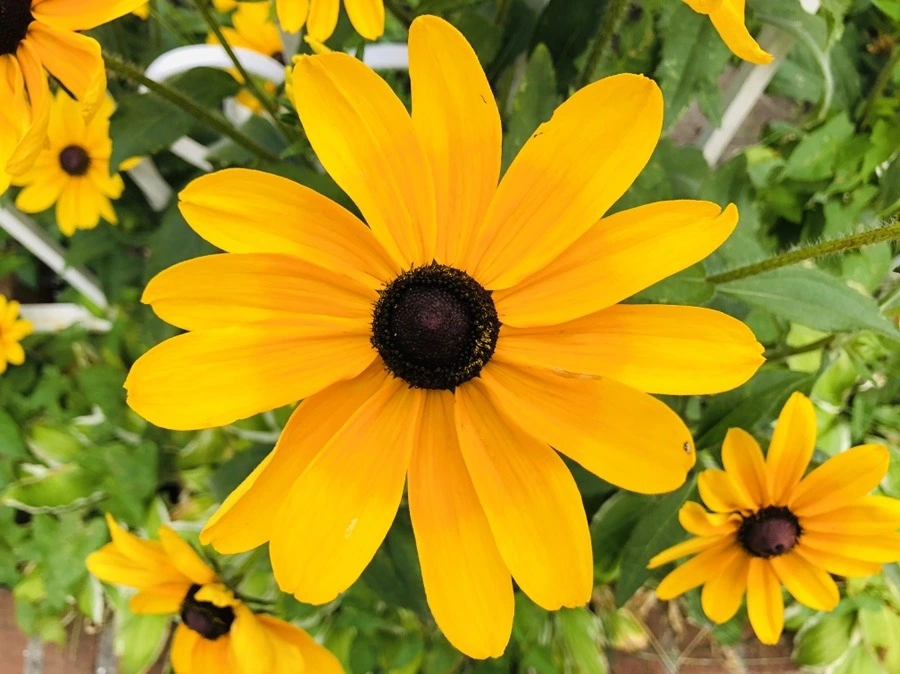 ecITL4HSnC0hPQUp7XmolKvFHng