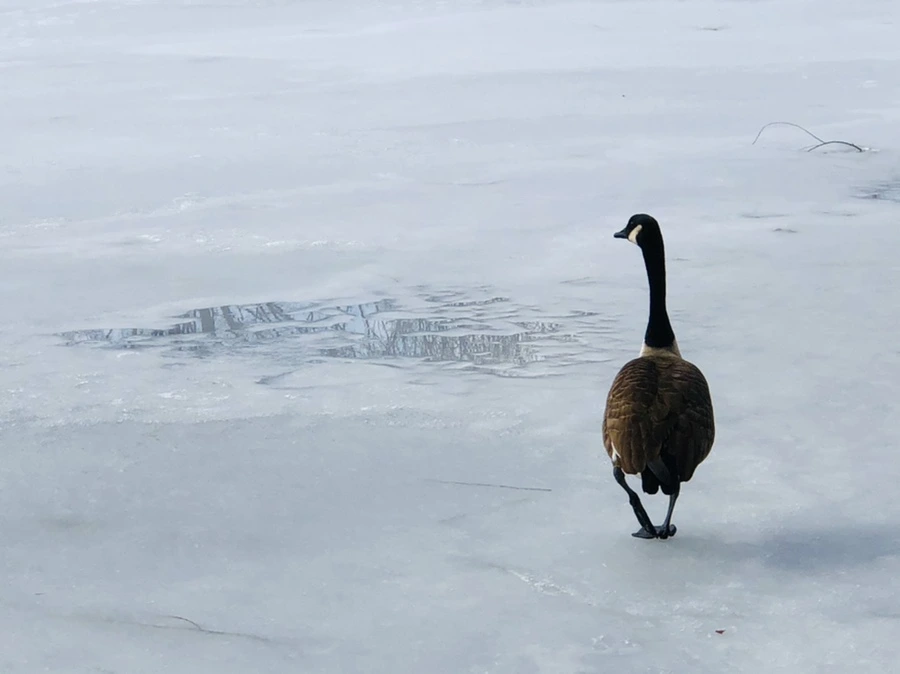 IMG_2924.jpg?type=w966