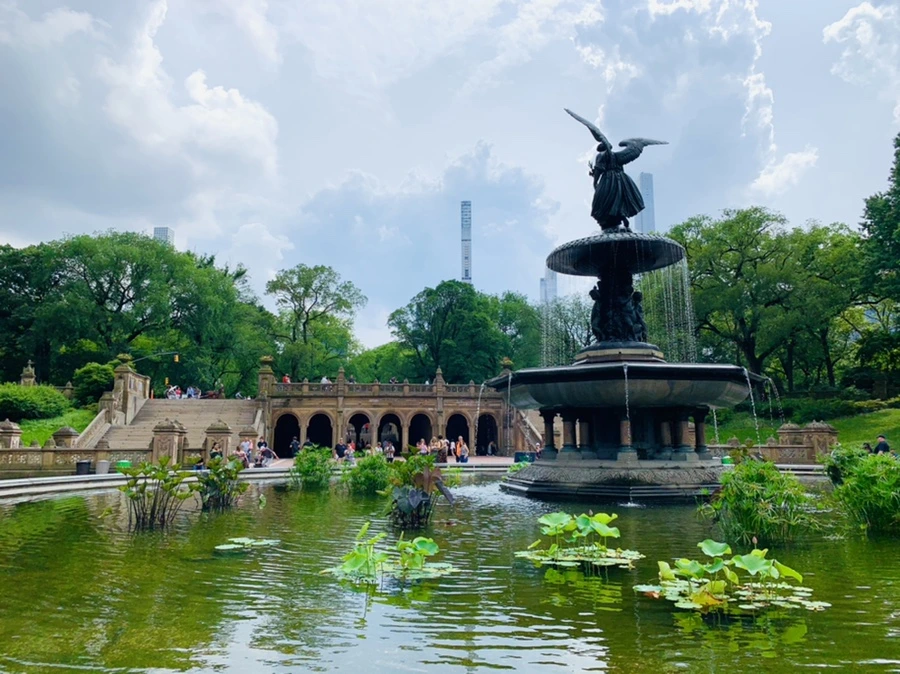 IMG_9884.jpg?type=w966