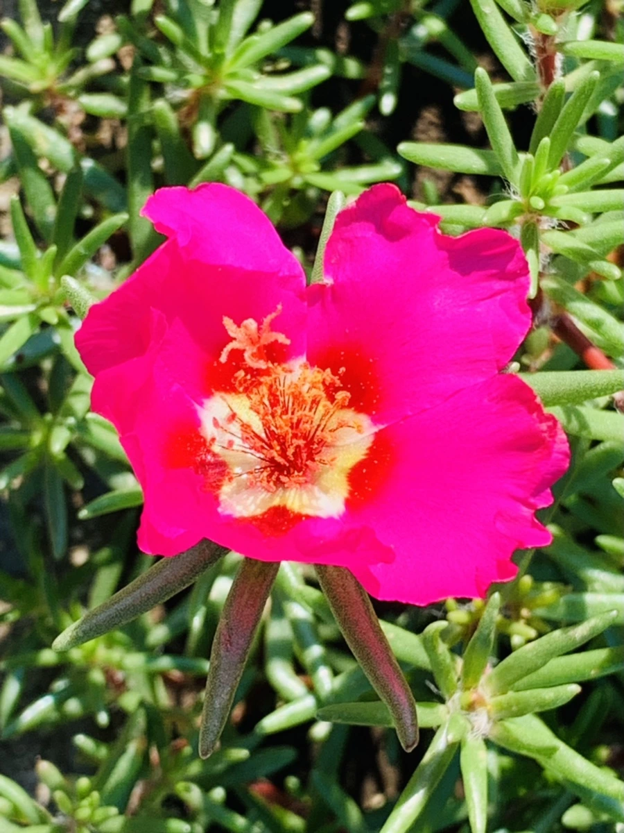 IMG_8392.jpg?type=w966