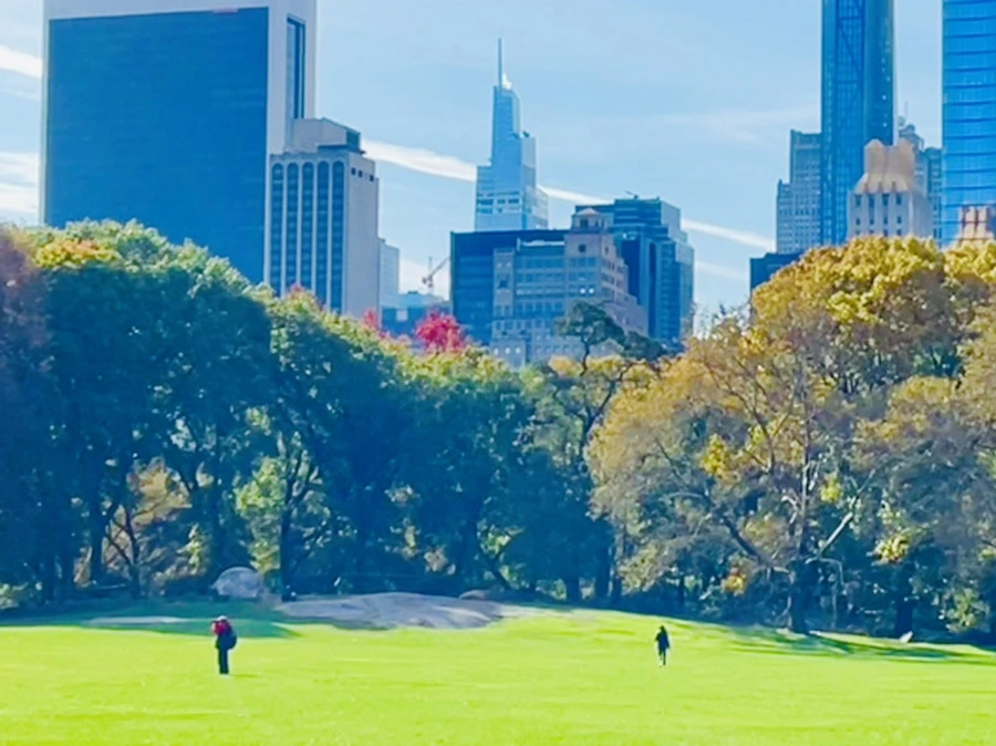 IMG_0235.jpg?type=w966