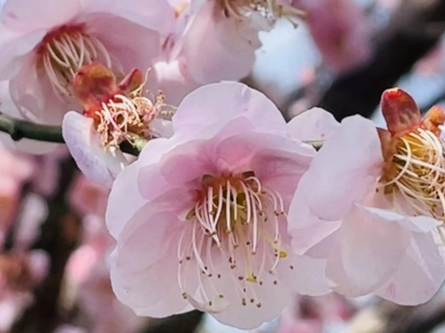 IMG_6619.jpg?type=w966