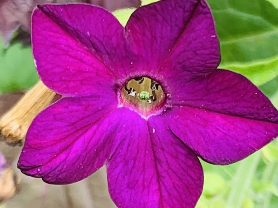 IMG_9436.jpg?type=w966