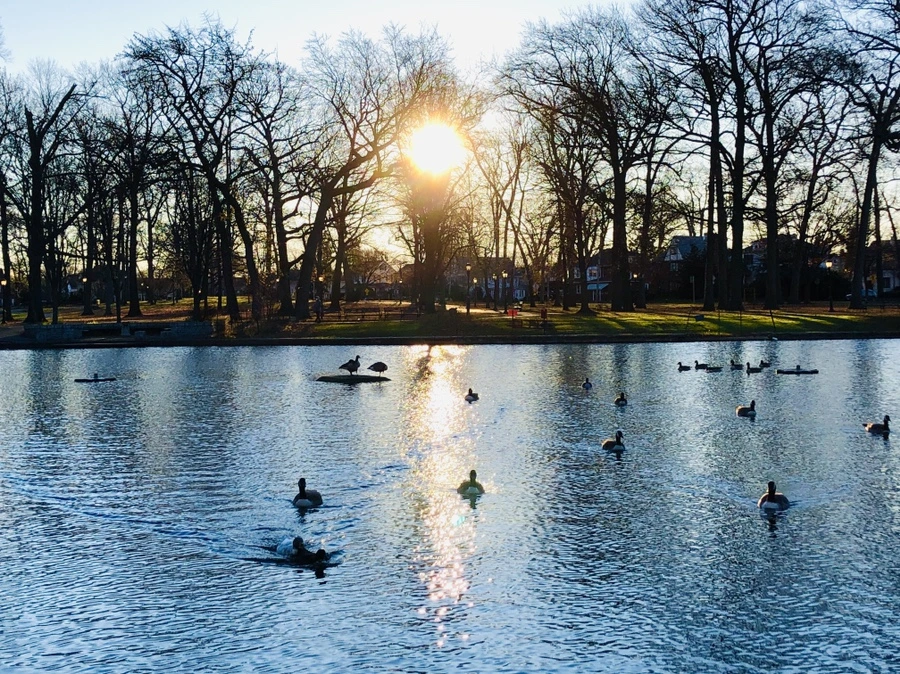 IMG_5952.jpg?type=w966