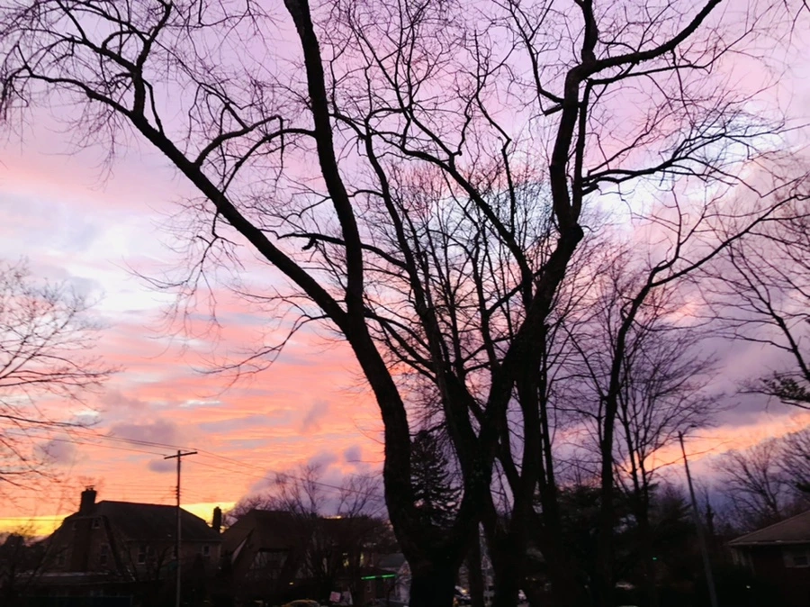 IMG_8260.jpg?type=w966