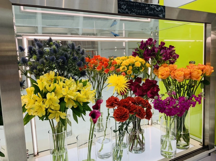 IMG_5776.jpg?type=w966