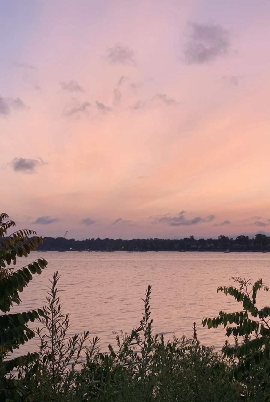 IMG_5365.jpg?type=w966