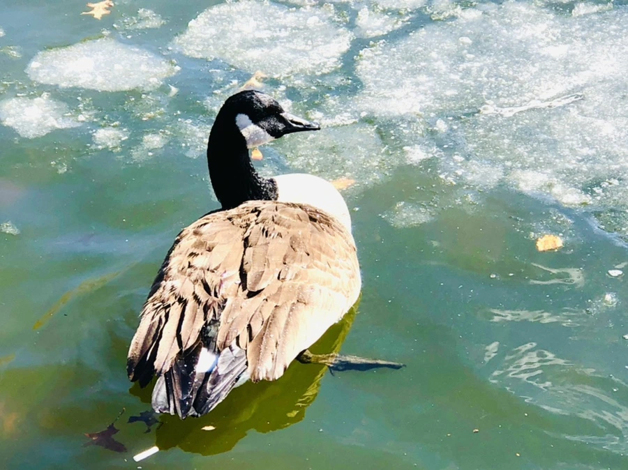 IMG_5120.jpg?type=w966