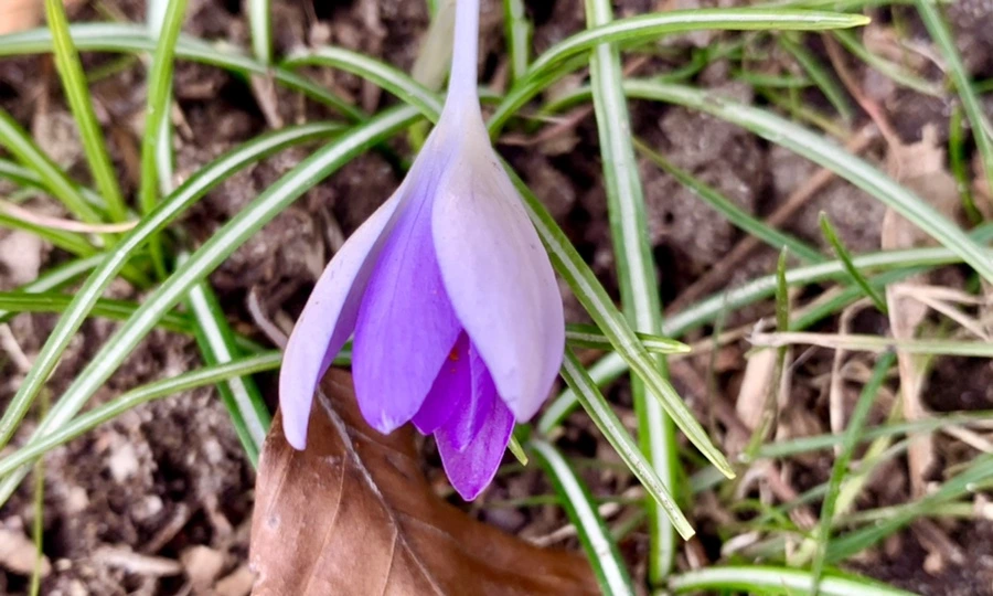 IMG_7075.jpg?type=w966