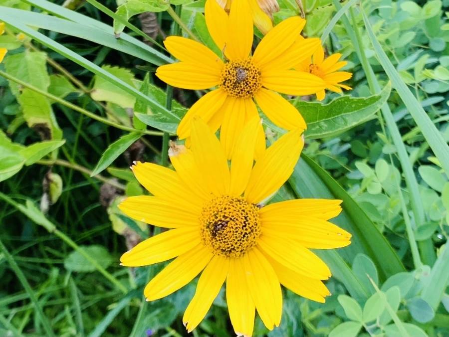 IMG_8706.jpg?type=w966