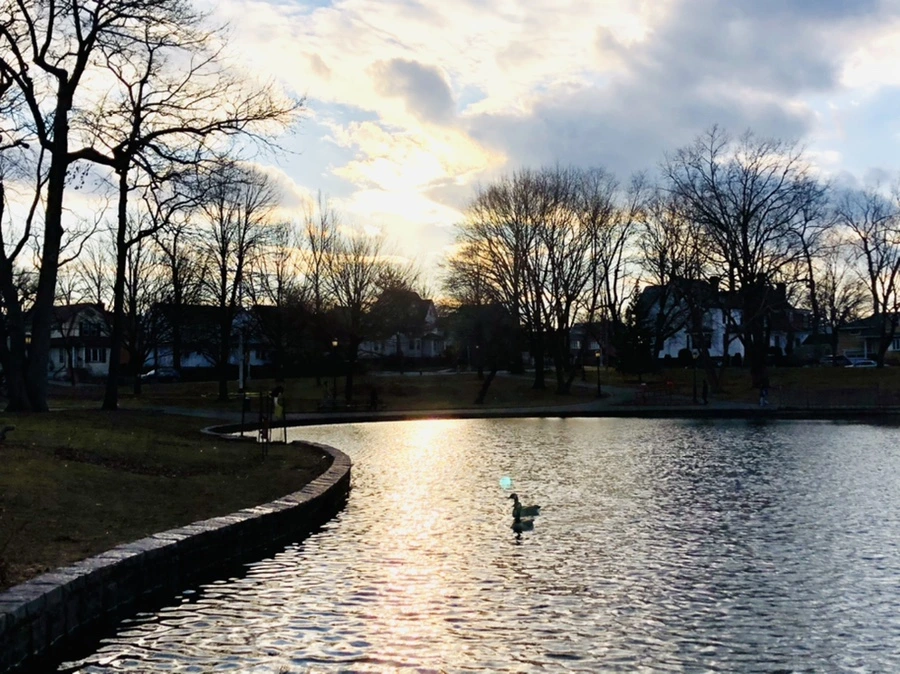 IMG_4404.jpg?type=w966