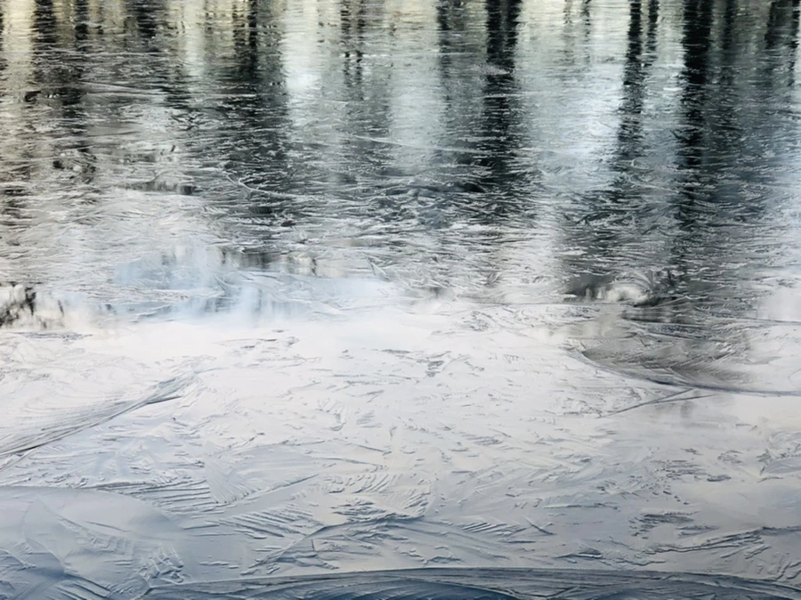 IMG_4637.jpg?type=w966