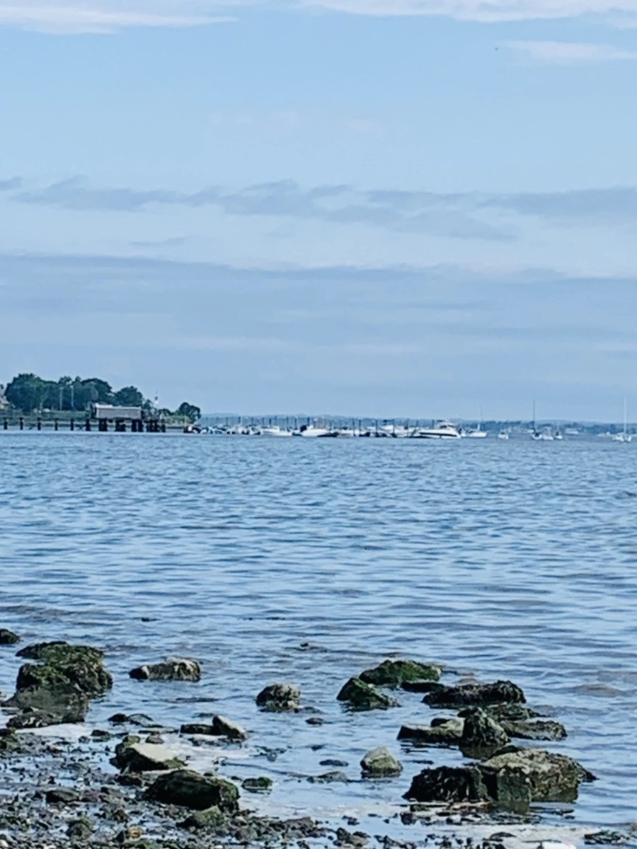 IMG_3232.jpg?type=w966