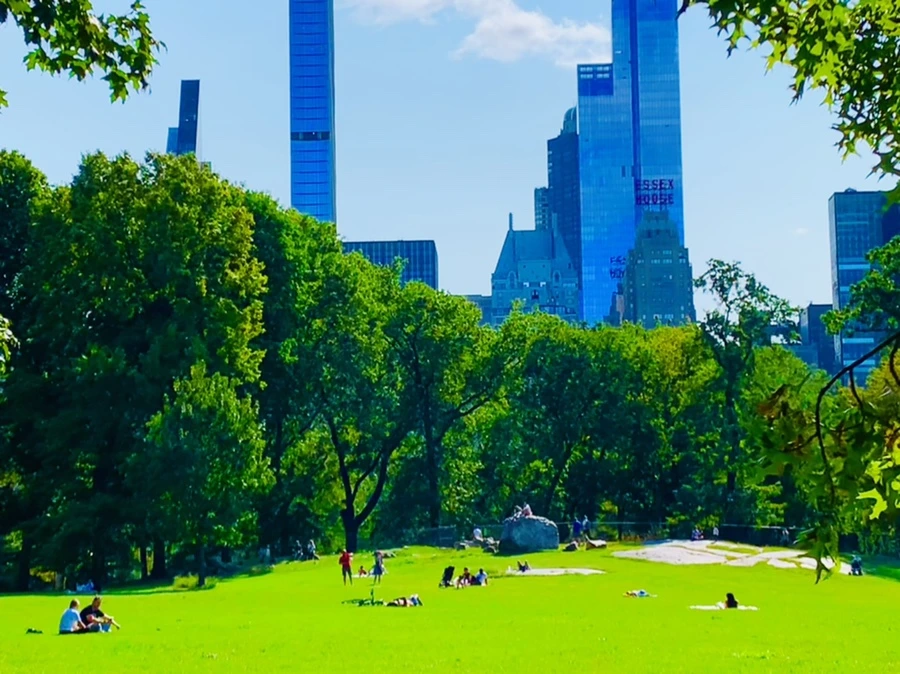 IMG_9671.jpg?type=w966