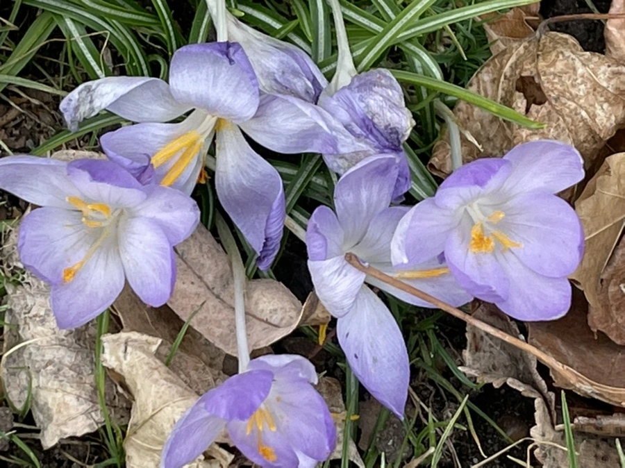 IMG_4067.jpg?type=w966