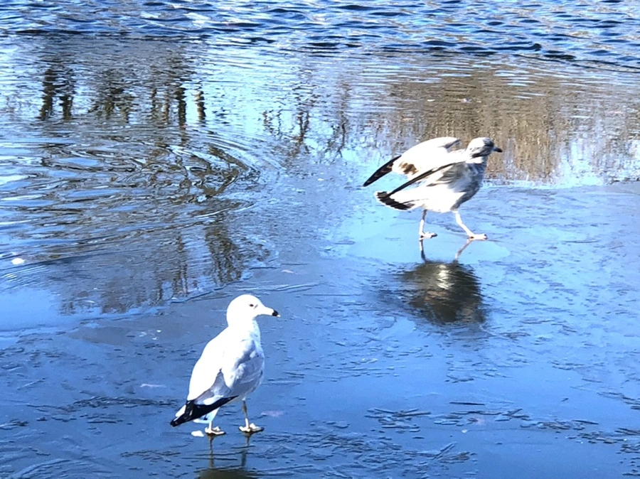 IMG_0581.jpg?type=w966