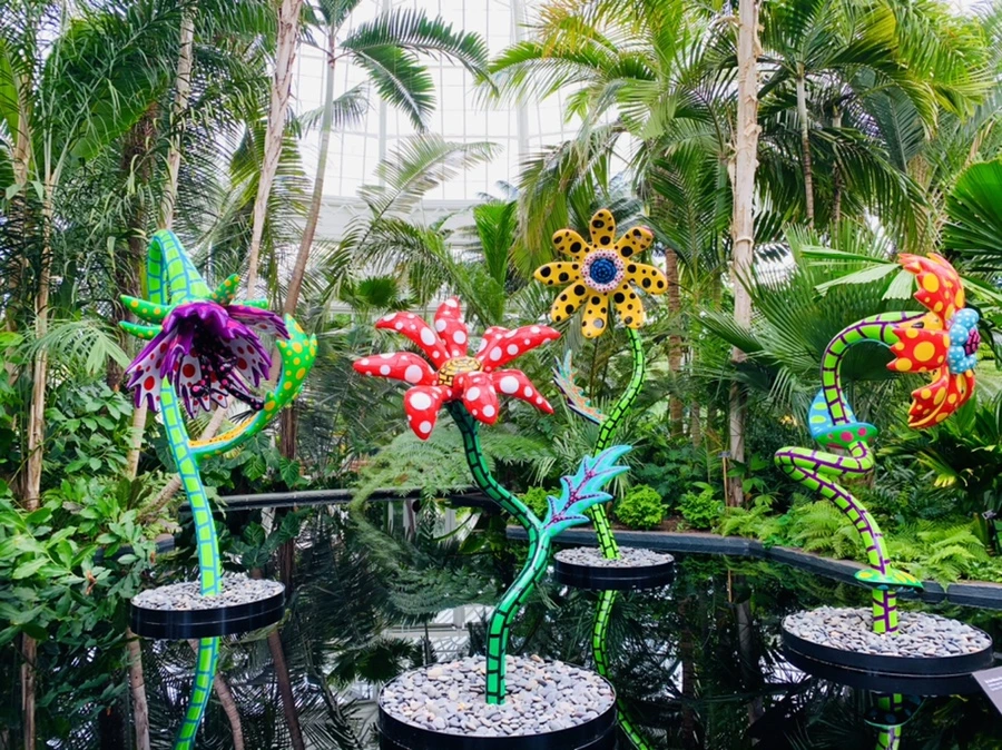 IMG_9183.jpg?type=w966