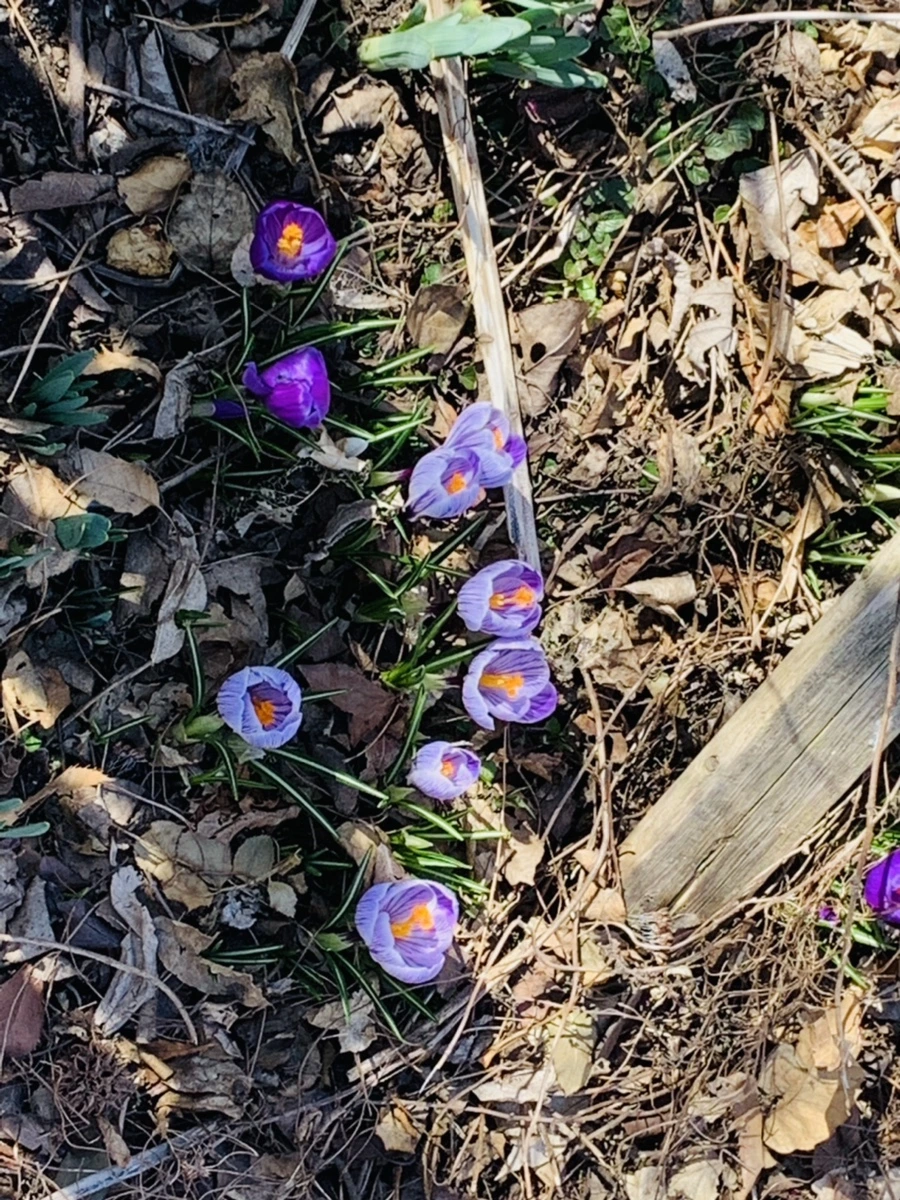 IMG_2582.jpg?type=w966