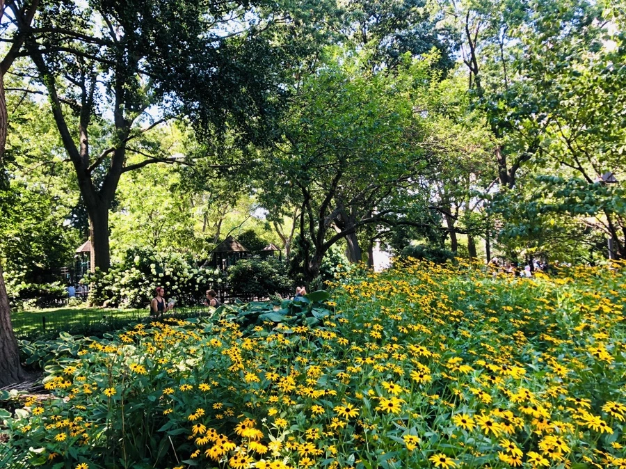 IMG_5445.jpg?type=w966