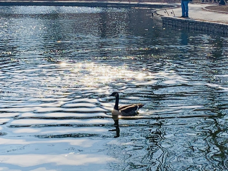 IMG_0365.jpg?type=w966