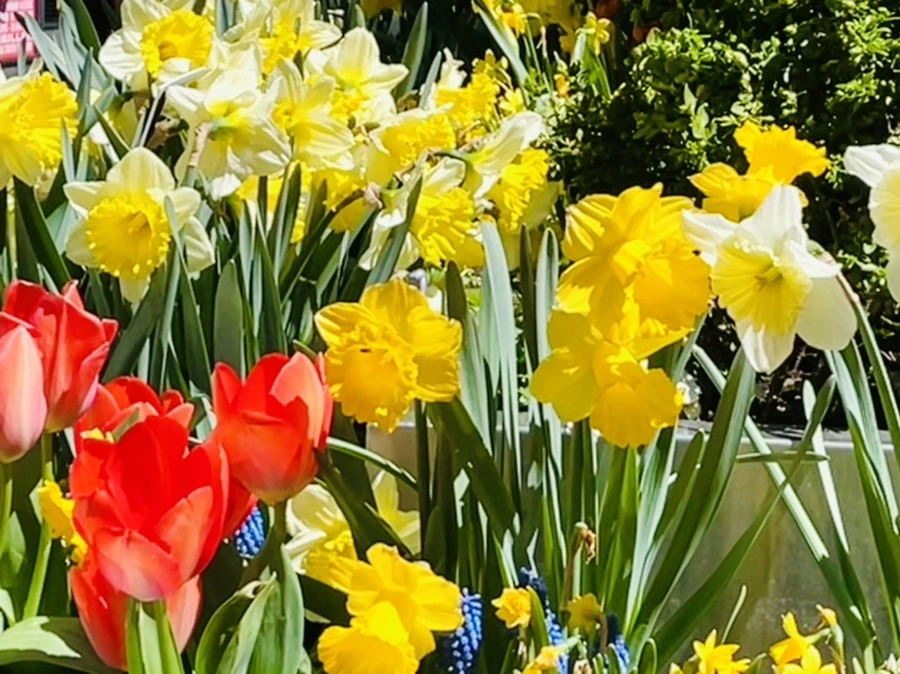 IMG_1492.jpg?type=w966