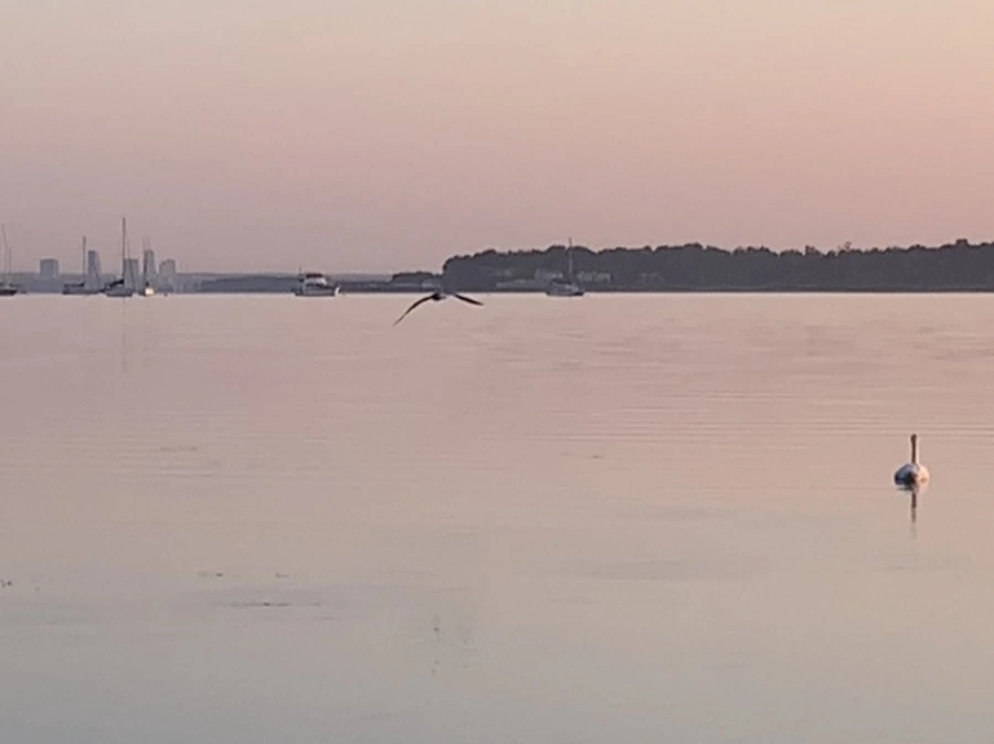 IMG_0179.jpg?type=w966