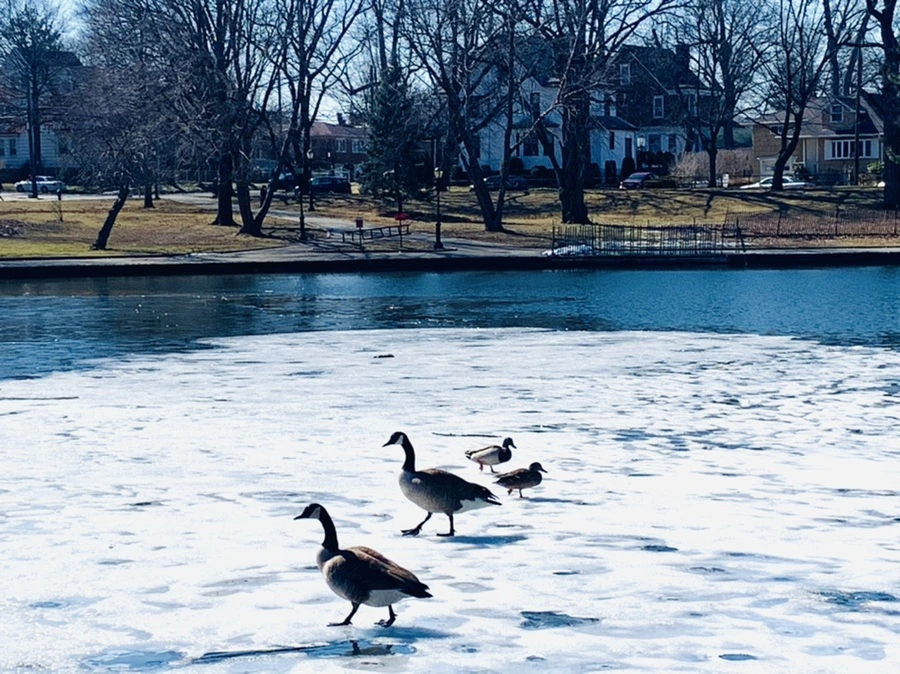 IMG_6892.jpg?type=w966