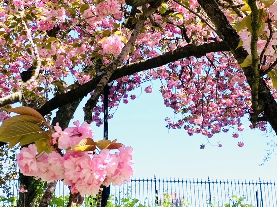 IMG_5853.jpg?type=w966